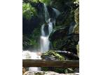 $850 / 1br - Log Cabin in the moutains (20 mins from downtown asheville) 1br