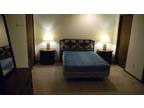 $995 / 2br - Very large 2 BR 2 Bath Furnished (Ithaca) (map) 2br bedroom