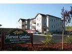 1 Bedroon 1 Bath, Harvest Garden Apt, Secure, Quality, Location (One unit for