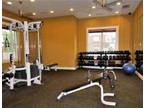 $564 / 2br - Summit sublet (MSU) (map) 2br bedroom