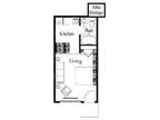 Furnished Studio (Applegate Apartments)