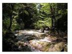 Property for Sale - lot#2 East Rumney Road Rumney, Rumney