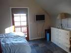 $750 / 1br - 450ft² - Furnished Executive N-end Studio (14th/Heron) (map) 1br