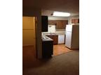 $1200 / 2br - NICE 2 BEDROOM NEAR UNIVIRSITY AND TOWN (DARTMOUTH ST FAIRBANKS