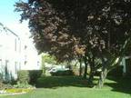 $640 / 1br - Lots of Space (Wenatchee) (map) 1br bedroom