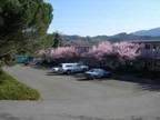 $575 / 1br - 400ft² - quiet south Bellingham neighborhood ( McKenzie Ave.)