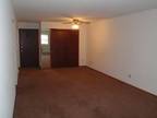 $495 / 1br - 1 Bedroom Aparments (Rockford) (map) 1br bedroom