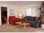 $989 / 2br - 2 Bedroom 1 Bath for May (Woodlands Village Apts) (map) 2br bedroom