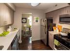 $1250 / 1br - 720ft² - Beautiful Reno, in-unit W/D, Tile Bath
