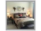 $500 / 2br - Very nice North Austin Apartment (RR 620 & 45 Toll rd) (map) 2br