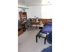 Efficency for Fall. Free Heat and Large Walk-in Closet! (Near Camp Randall)