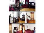 Beautiful Apt w/Heat, Water, Cable, Wifi, Renters Ins&Parking included (albany