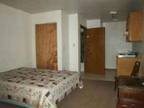 Affordable Studio Appartment, ALL UTILITIES PAID!!! (Branson/close to Hwy 65)