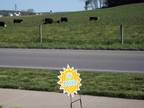 $560 / 1br - 660ft² - Enjoy The Fall Foliage in The Beautiful Countryside
