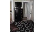 $1500 / 1br - Furnished professional suite in brand new home (Houston Heights)