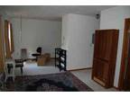 $460 / 1br - 500ft² - Historic Park Apartments 1st floor apt November 1 (123 N