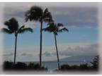 Maui 1 Brdrm Condo for Rent 6/29-7/6/12