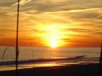 $650 / 2br - *** Beach Special ***