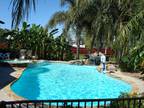 $299 / 5br - LUXURY VACATION HOME RENTAL WITH TROPICAL POOL/HOTTUB (HOUSTON) 5br