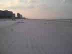 $2100 / 2br - 1400ft² - OCEANFRONT - IMMACULATE