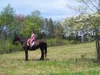 Discounted Longwood Univ Orientation Wknd on 25 Ac Riverside Estate