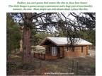 Black Hills Rentals