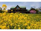 Berry Patch Bed and Breakfast