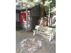 $650 / 1br - Camp Imp - Adirondack Escape! (Eagle Bay, NY) 1br bedroom