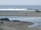 Oceanview Cottage in Sunny Gold Beach