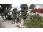 DISNEY INN_(1-20 people max)__________(5 min. to Disneyland)