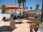 Summer Getway in Sunny Arizona !!!