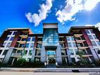 17 Meadow Rd #504 Rutherford, NJ 07070
