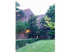 147 31 38Th Ave A36, Flushing, NY