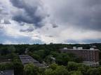Condos & Townhouses For Rent Brookline Massachusetts