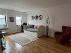 143-50 Hoover Ave #417, Briarwood, NY 11435