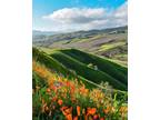 Im looking for a room to rent or a roomate in bear valley springs community