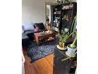319 Mansfield St #3, New Haven, CT 06511