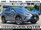 2020 Lexus NX 300