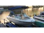 18 foot Scout 175 Dorado