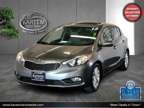 2015 Kia Forte 5-Door EX