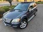 2010 Mercedes-Benz M-Class