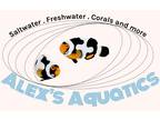 Methuen Pet Sitter $19/Hour: Experienced & Caring Professional Pet Care Services