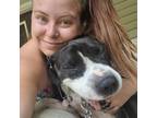 Ann Arbor Pet Sitter - Experienced & Attentive - $18/hr - Let Me Love Your Pets!