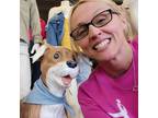 North Little Rock Pet Sitter - $15/Hour - Professional & Experienced Care for
