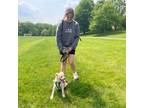 Cincinnati, Ohio: north/northeast suburbs Sitter Available - $12.0/hr negotiable