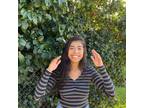 Salem, Oregon Home Sitter: Responsible & Caring for Your Home $20.0/hour