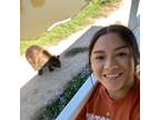Pet Sitter in Twin Falls, Idaho - $10/HR - Loving Care for Your Furry Family