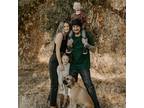 Murrieta, CA Pet Sitter - 25/hr - Caring & Responsible - Ready to Look After