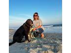 Experienced Pet Sitter in Nakina, NC - $16/day - Quality Care for Your Furry