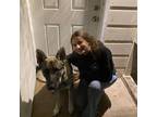 Pet Sitter in Petaluma, CA - $25/hour - Caring For Your Pets With Love &